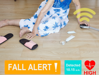 Empowering Vulnerable Populations with Fall Detection Systems