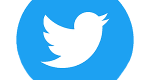 png-clipart-icon-logo-twitter-logo-twitter-logo-blue-social-media-thumbnail_edited.png
