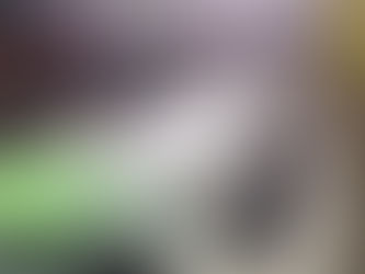 316L 1000m3/hr drum filters