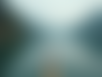 Como Reservar a Sua Experiência de Pesca pelo WhatsApp