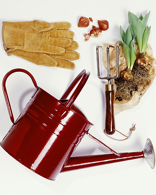 Outils du jardinier