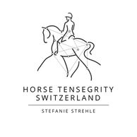 Logo_TT_Steffi.png