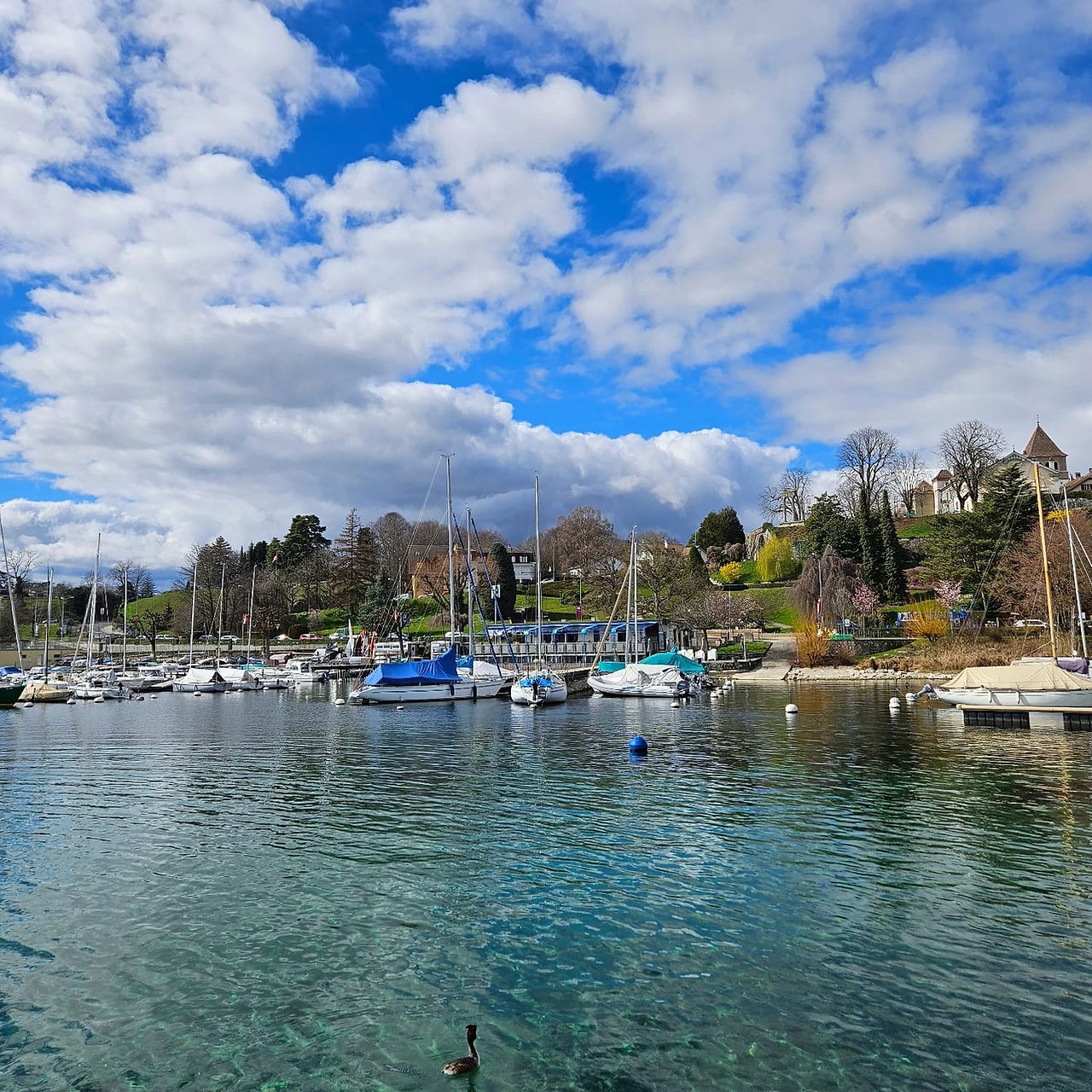 Nyon Views