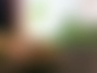 Nature and the organic garden Webinar