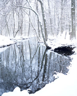 Winter Stream II