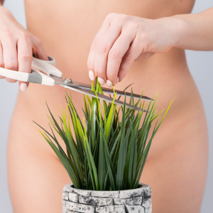 Female Intimate Waxing - In House