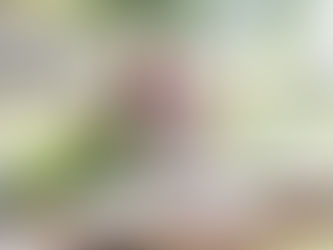 Vintage china tablescapes. Photo credit: Heidi Mitchell Photography