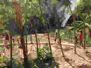 Balancing through the fields
