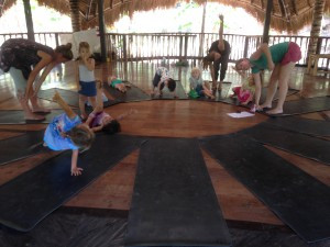 image (11)
