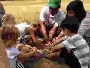 image(4)