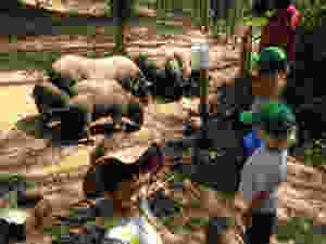 image(2)