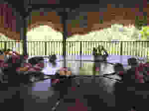 image(5)