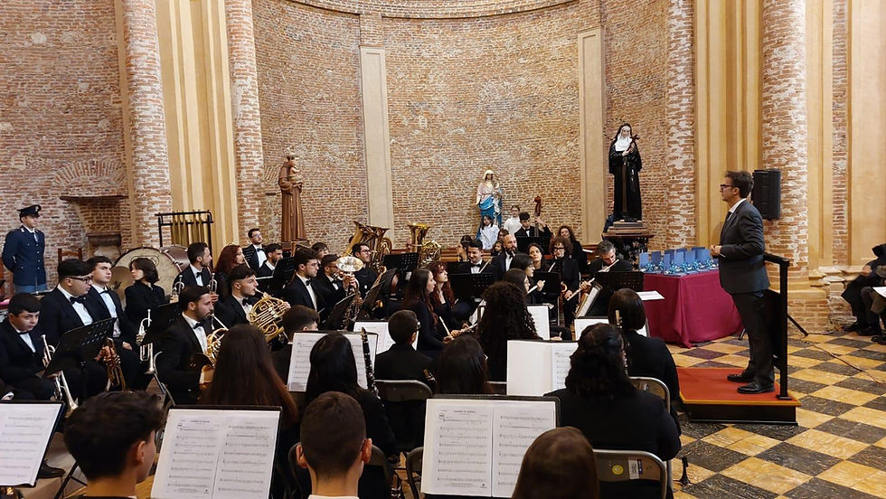 L'ORCHESTRA GIOVANILE DI LAUREANA DI BORRELLO (RC) IN SCENA A VIENNA.