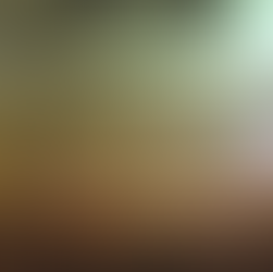 WE MIGHT HAVE FUCKED BEFORE