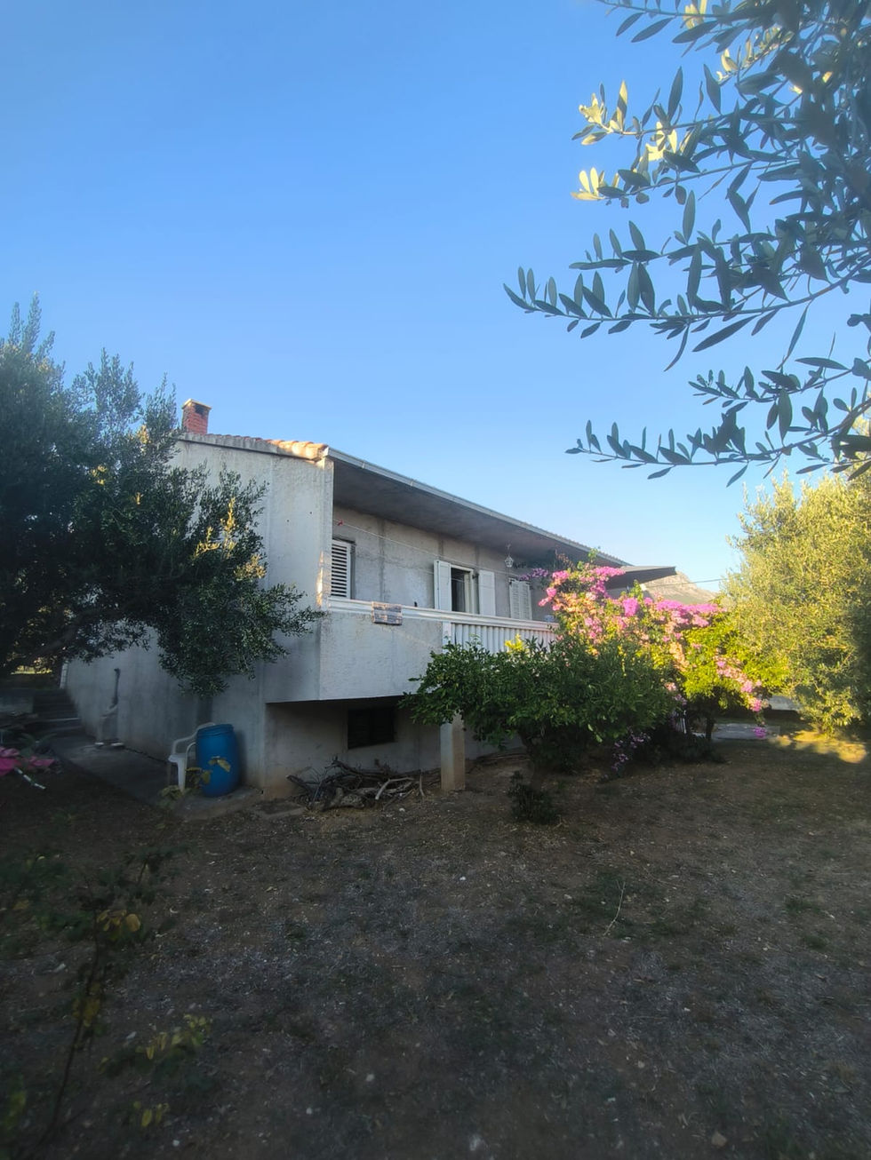 WhatsApp Image 2025-09-06 at 08.22.11 (1)