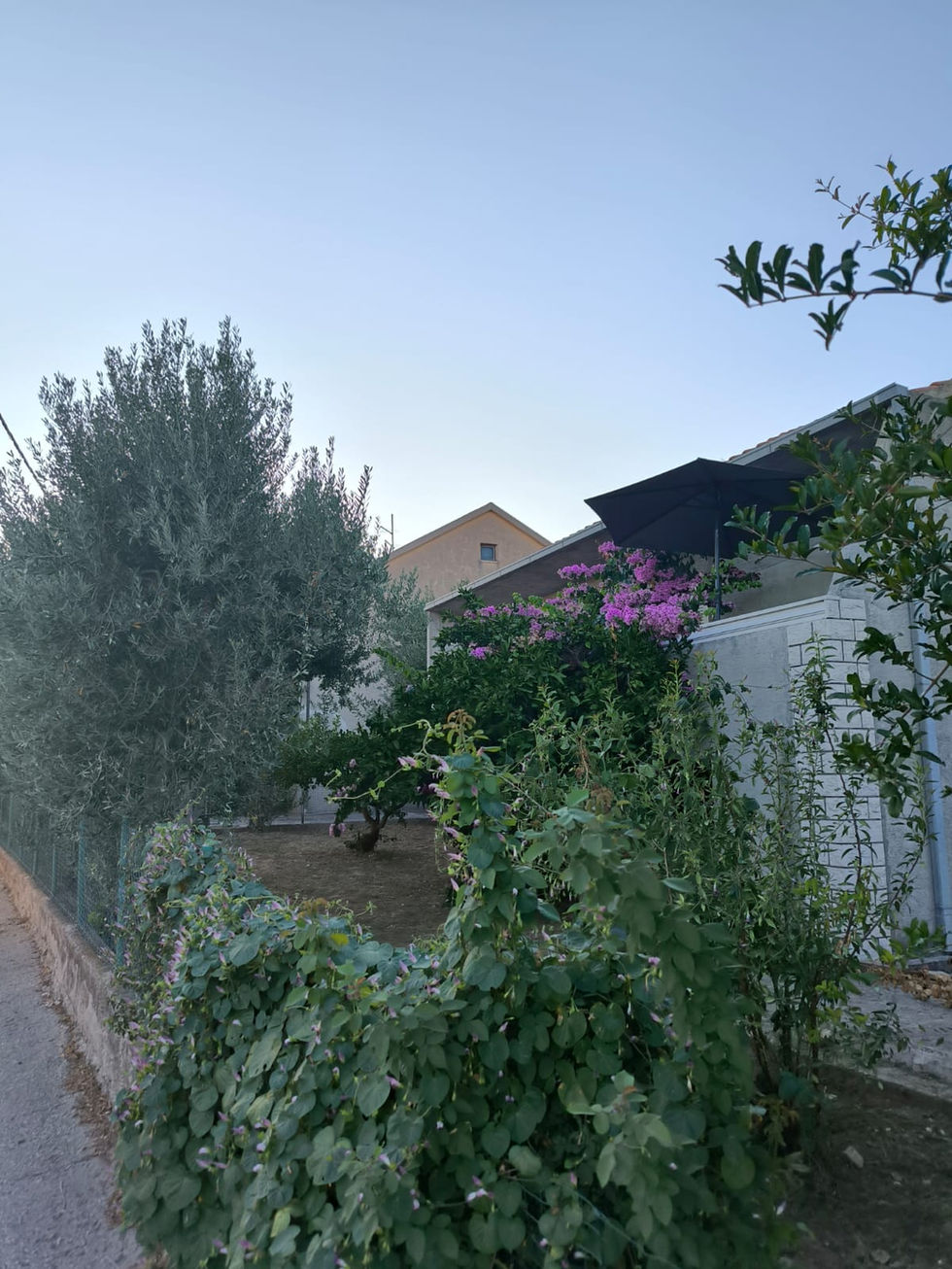 WhatsApp Image 2025-09-06 at 08.18.57