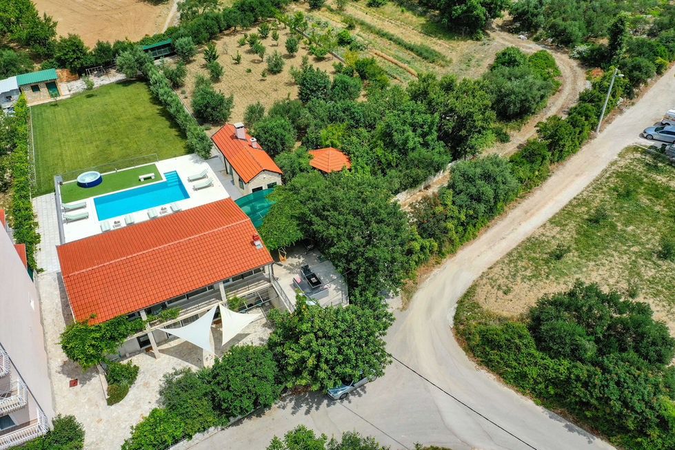 org_d0369a3644892f53_1656064032000