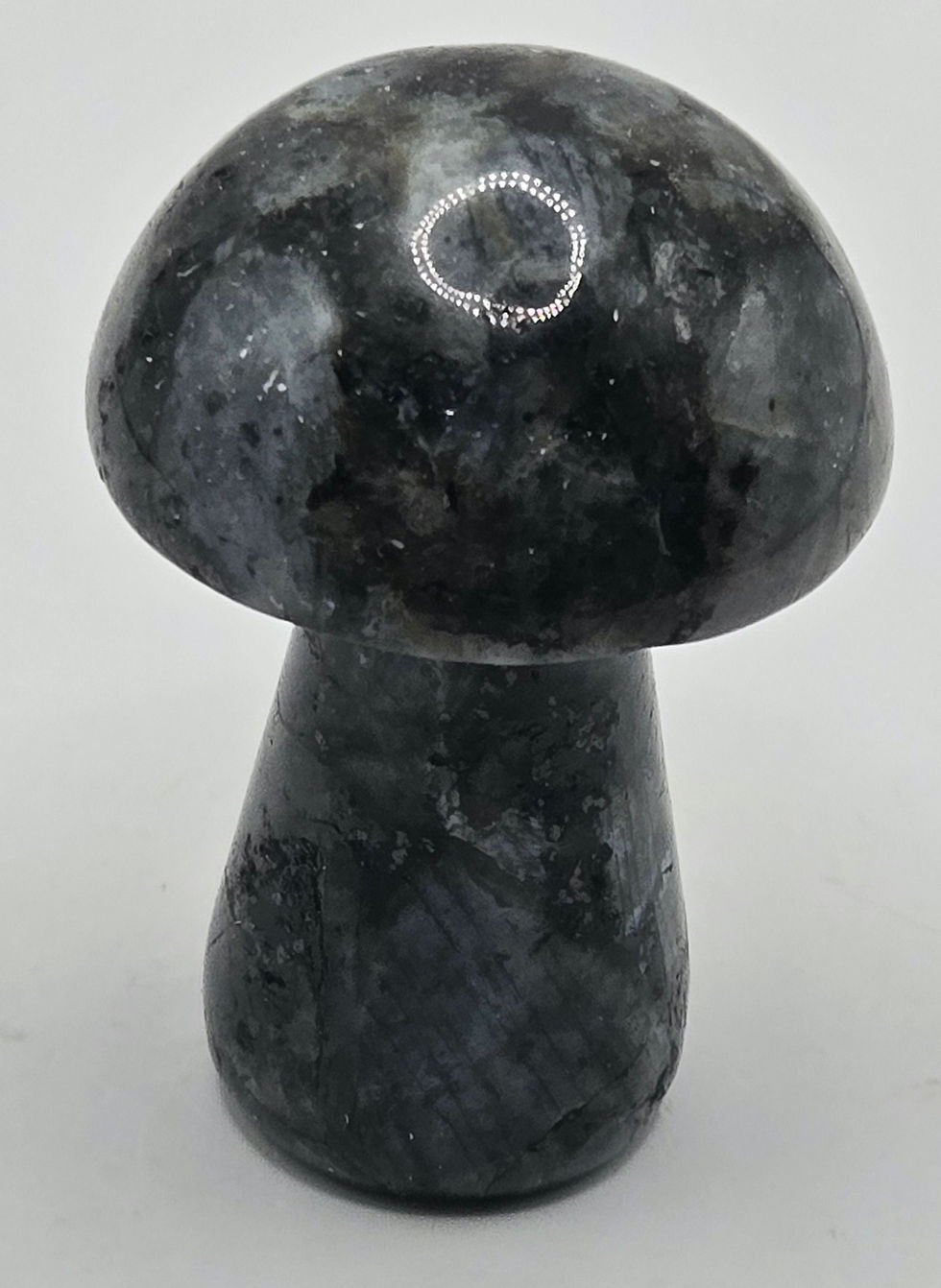 Larvikite Mushroom Carving