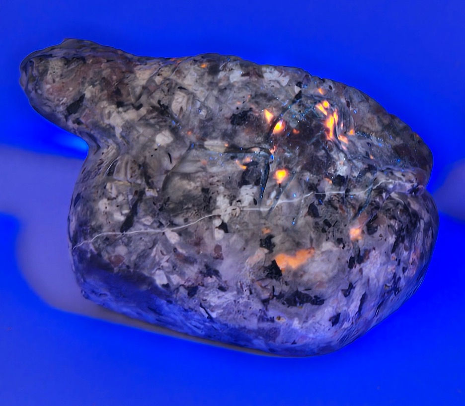 Thumbnail: Lizard Carving (Larvikite or Sodalite in Syenite)
