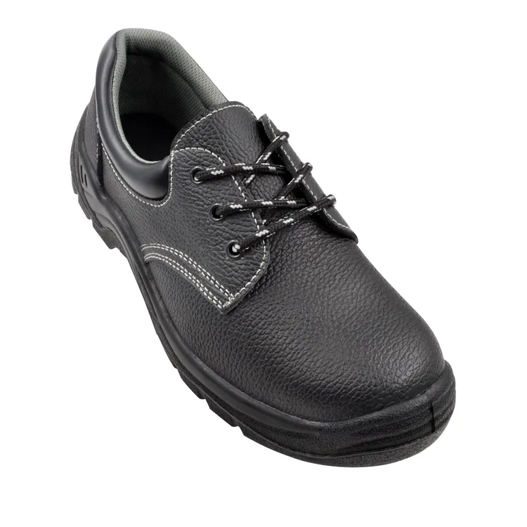 Zapato de protección