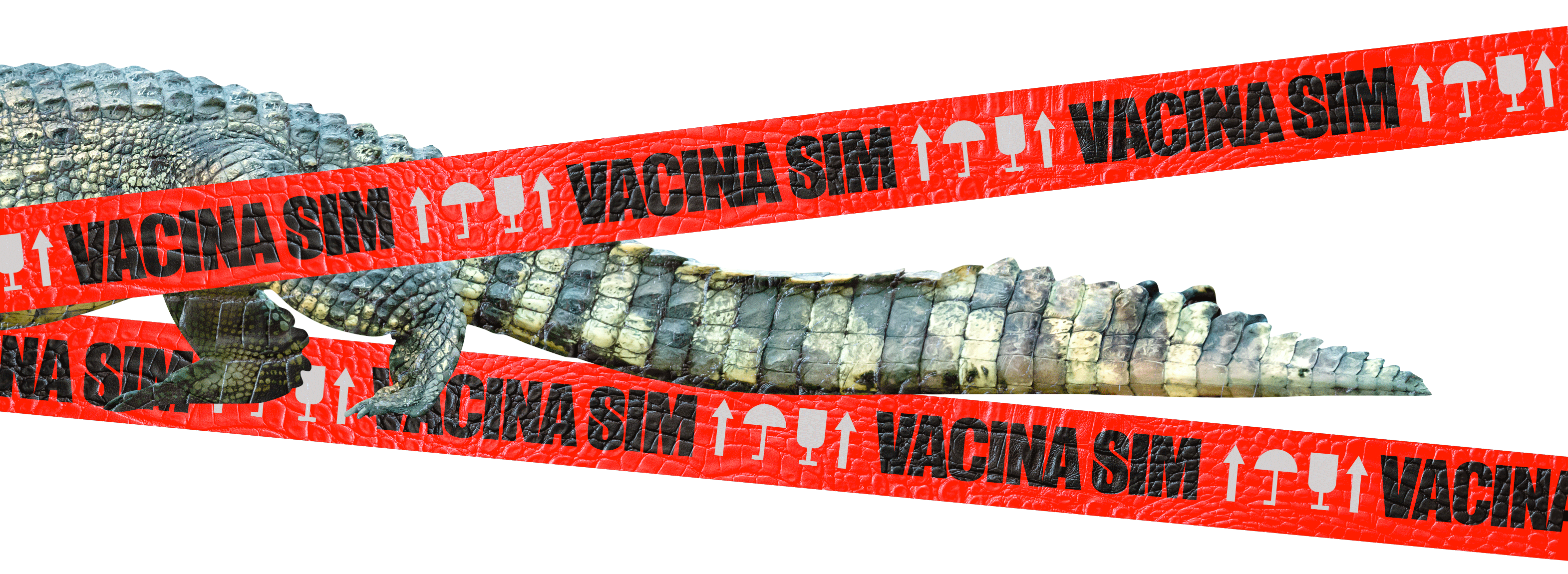 BANNER-DE-SITE.gif