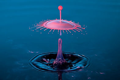 waterdro_cover.jpeg