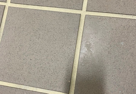 434C77AB-E01F-43D2-B5ED-9BB0946D9B75_1_105_c.jpeg