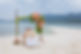 Jessadaphotography-265.jpg