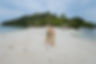 Jessadaphotography-296.jpg