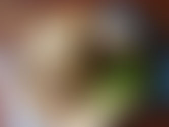 おべんとばこ［140701］