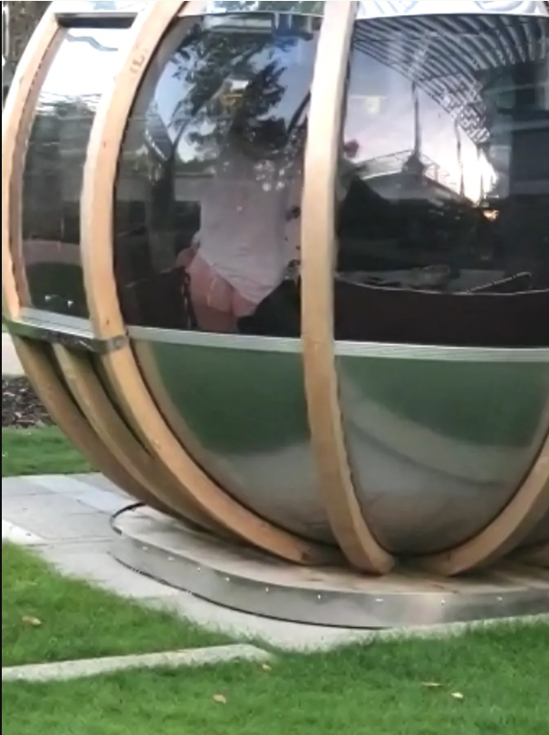 Image captured by anonymous co-worker