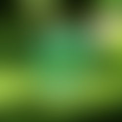 Why Circles and Curves Speak to Our Souls: From Garden Pods to Nature’s Patterns