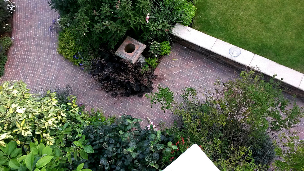 Milltown garden