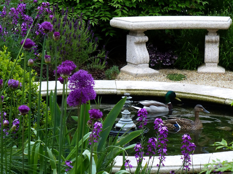 Milltown garden