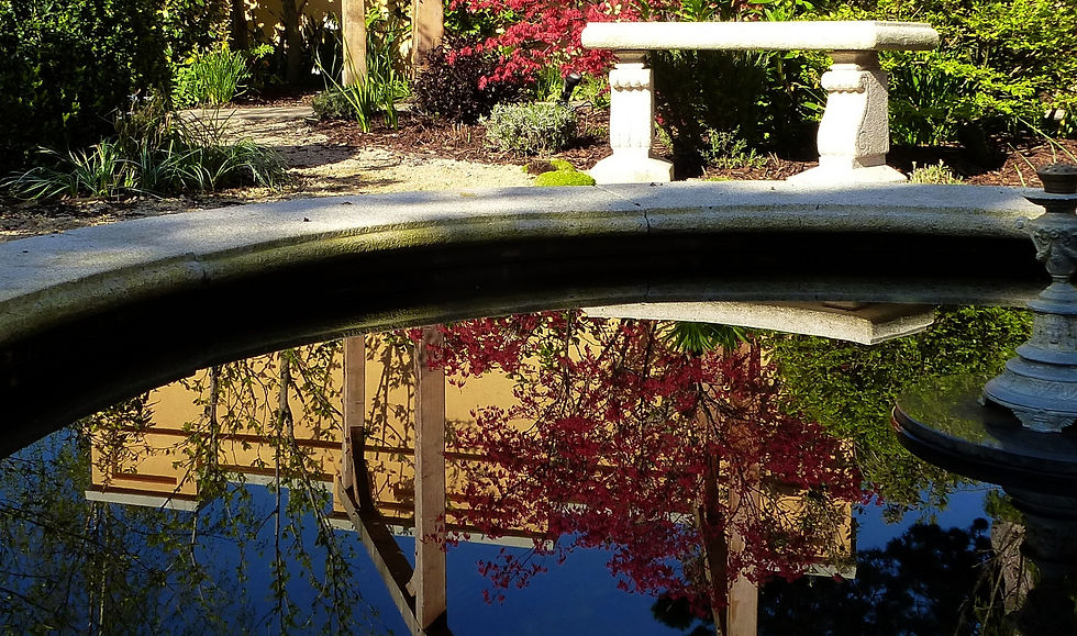 Milltown garden