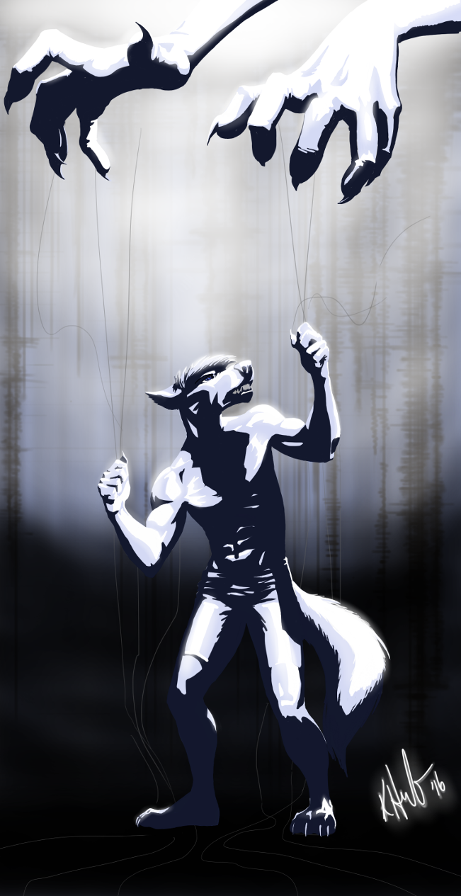 The Meddler cover