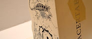 Lacertae - libro d 'artista