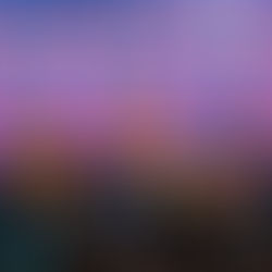 Un Nuevo Tiempo no presentará candidato a la primaria