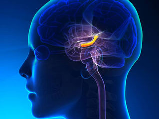 Mnemonic Devices