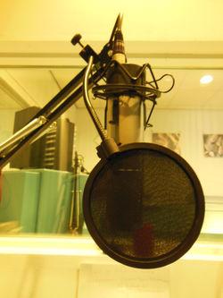 Radio Bloemendaal 1.jpeg