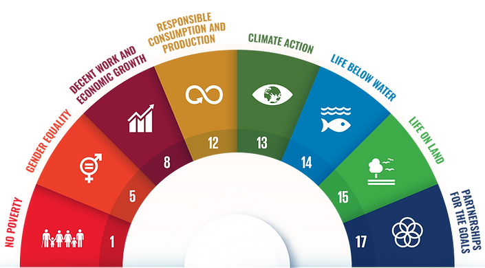 sustainability development goals