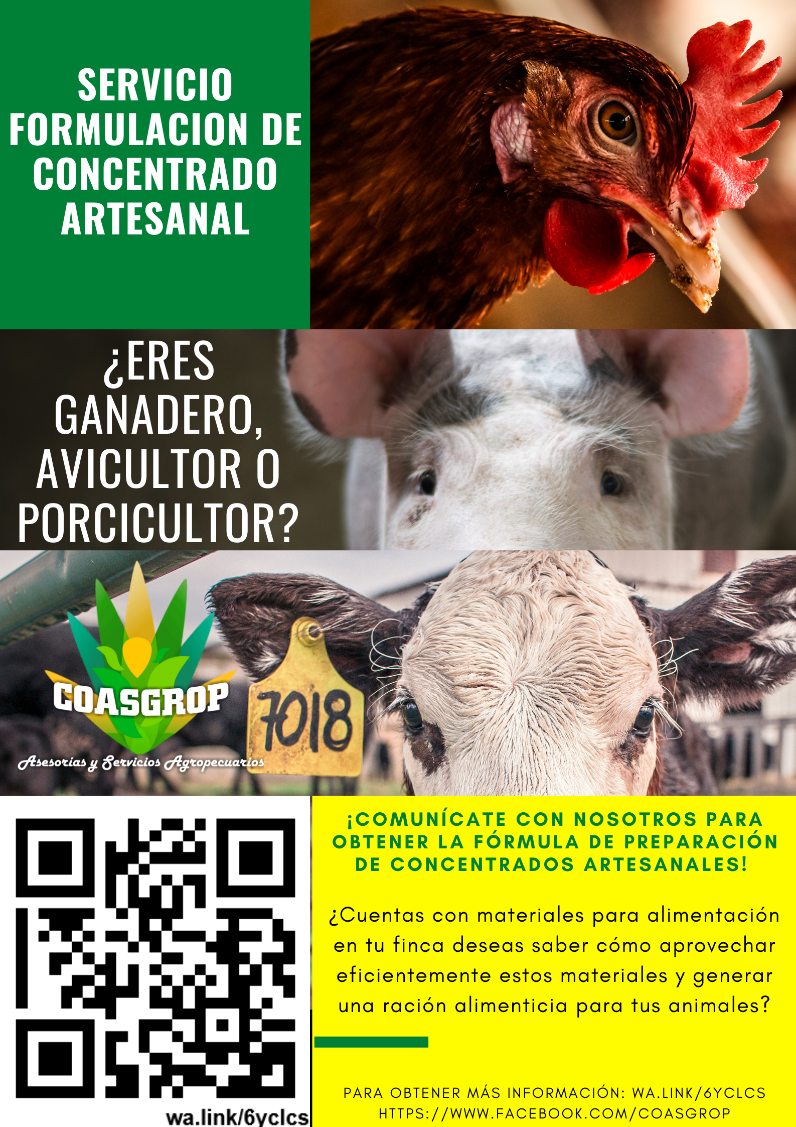 FORMULACIÓN CONCENTRADO ARTESANAL