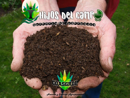 SUSTRATOS DE CRECIMIENTO VEGETAL