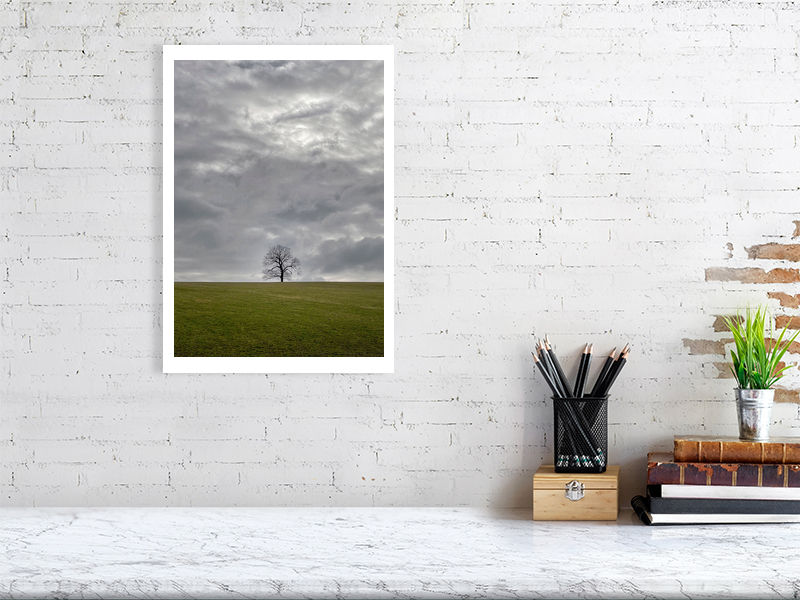 Thumbnail: LONE TREE COLOUR 8