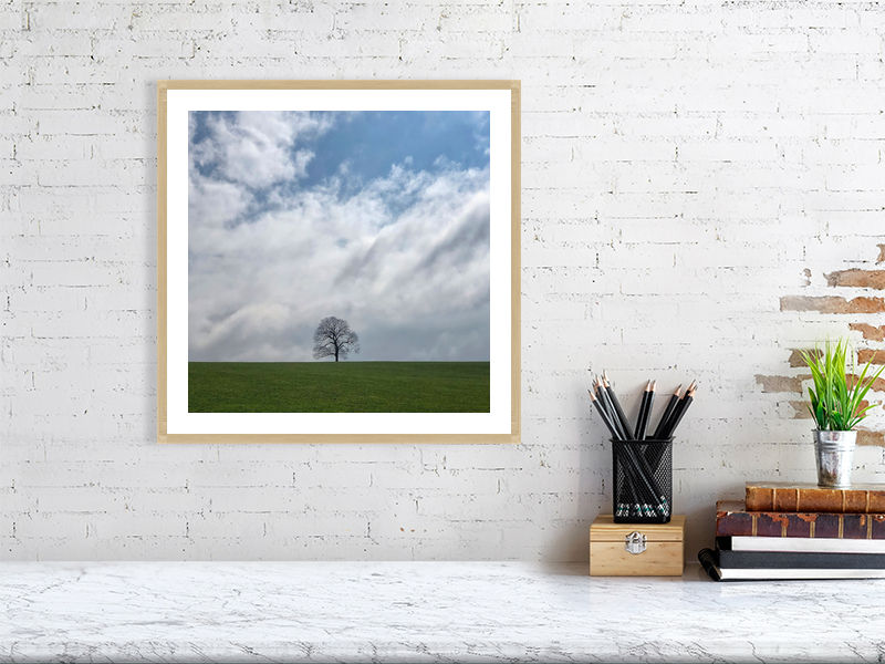 Thumbnail: Lone Tree 9