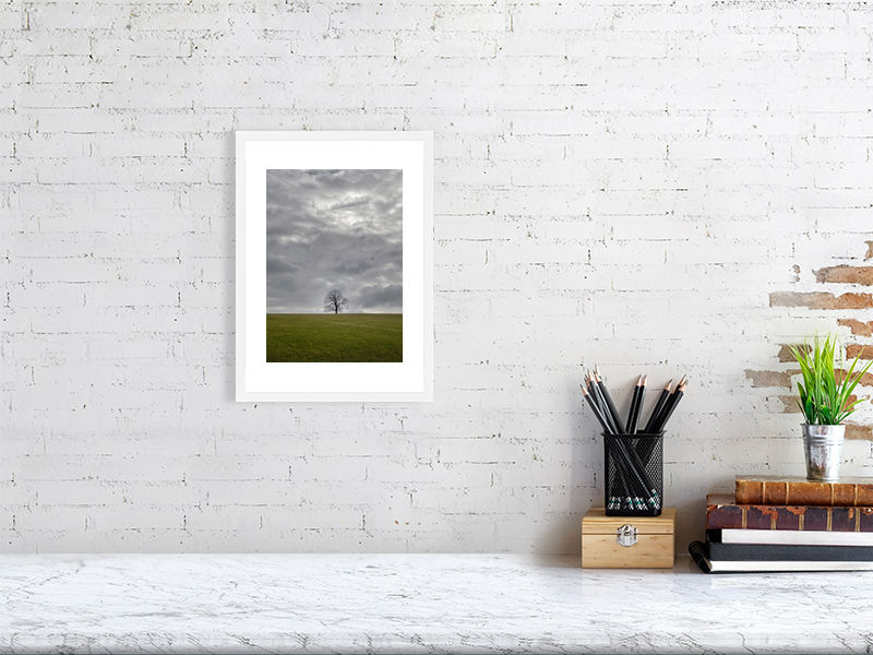 Thumbnail: LONE TREE COLOUR 8