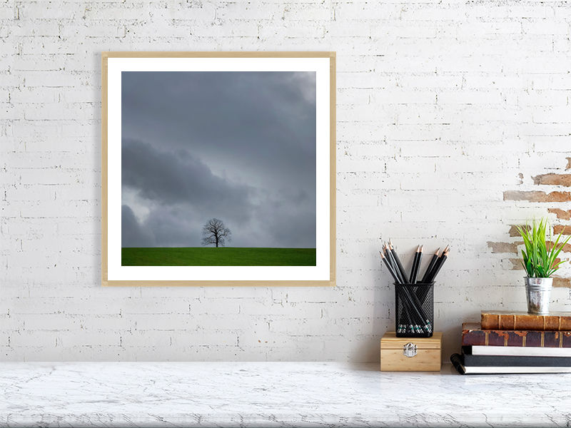Thumbnail: Lone Tree with stormy sky