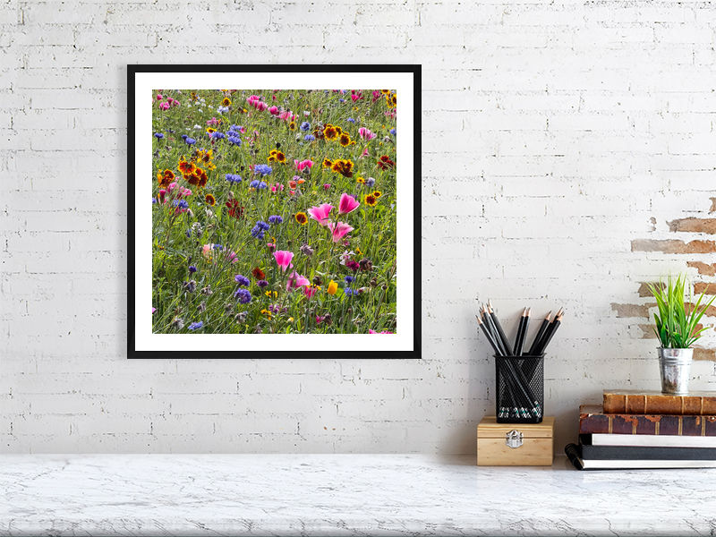 Thumbnail: WILD FLOWERS