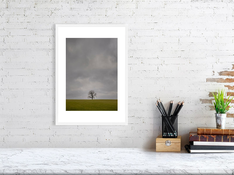 Thumbnail: LONE TREE 4