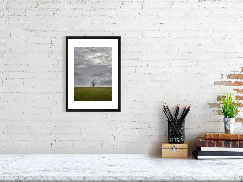 Thumbnail: LONE TREE COLOUR 8